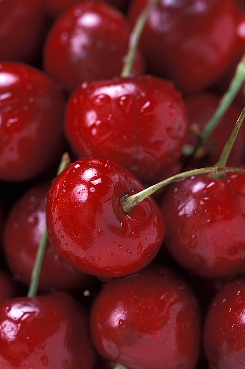 Bing Cherry