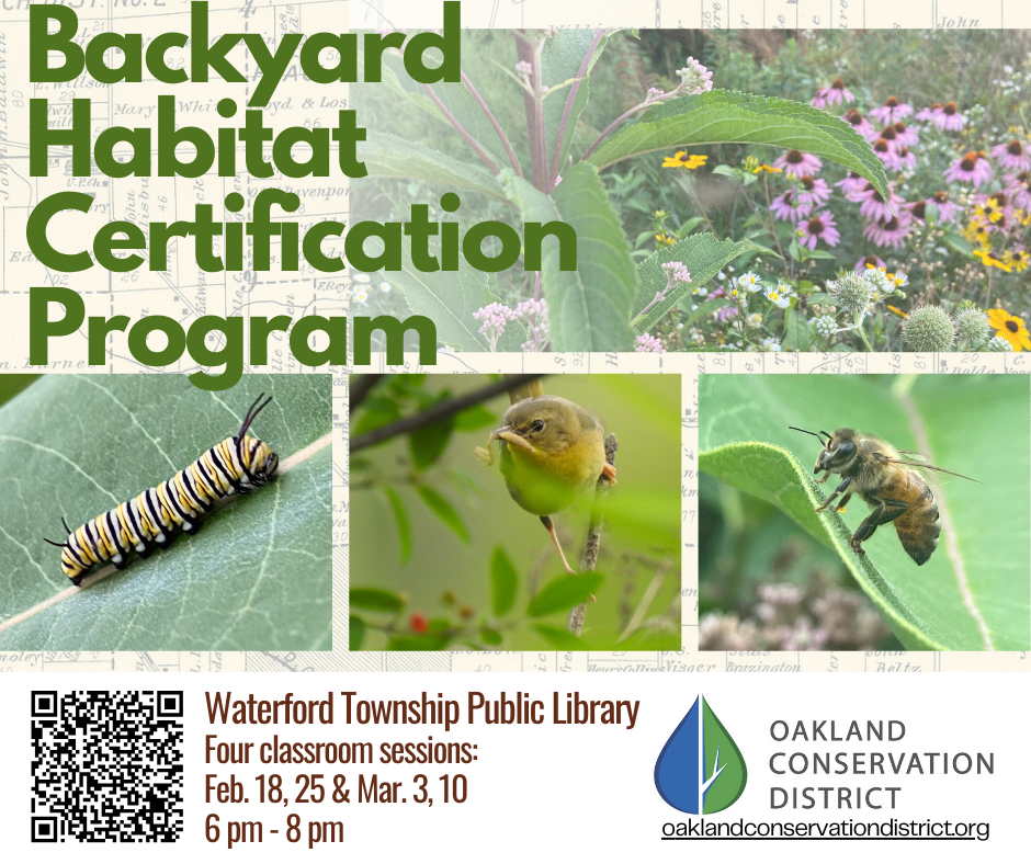 Spring Backyard Habitat Certification Program Registration