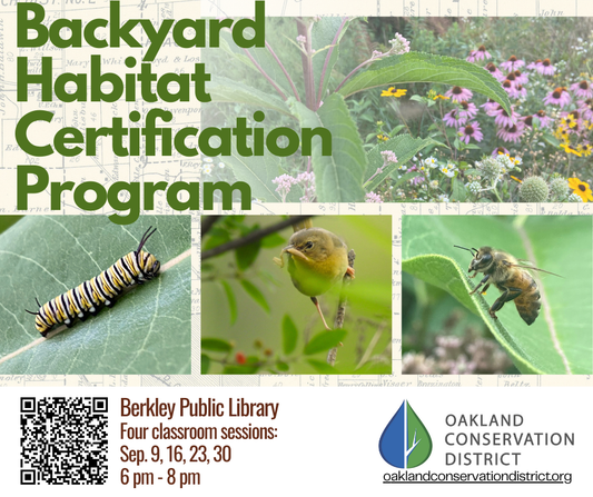 Fall Backyard Habitat Certification Program Registration