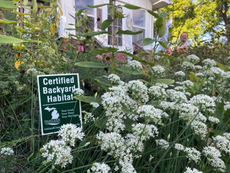 Spring Backyard Habitat Certification Program Registration