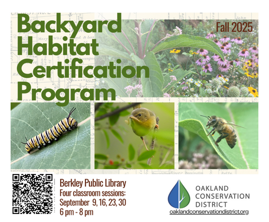 Fall Backyard Habitat Certification Program Registration