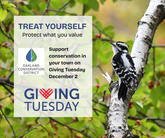 Treat Yourself Protect what you value, Support conservation in your town on Giving Tuesday December 2. Oakland Conservation District, Giving Tuesday.