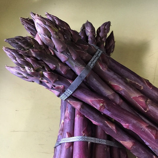Bundled purple asparagus on a yellow background