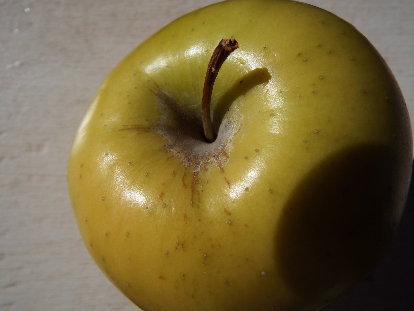 Gibson Golden Delicious Apple