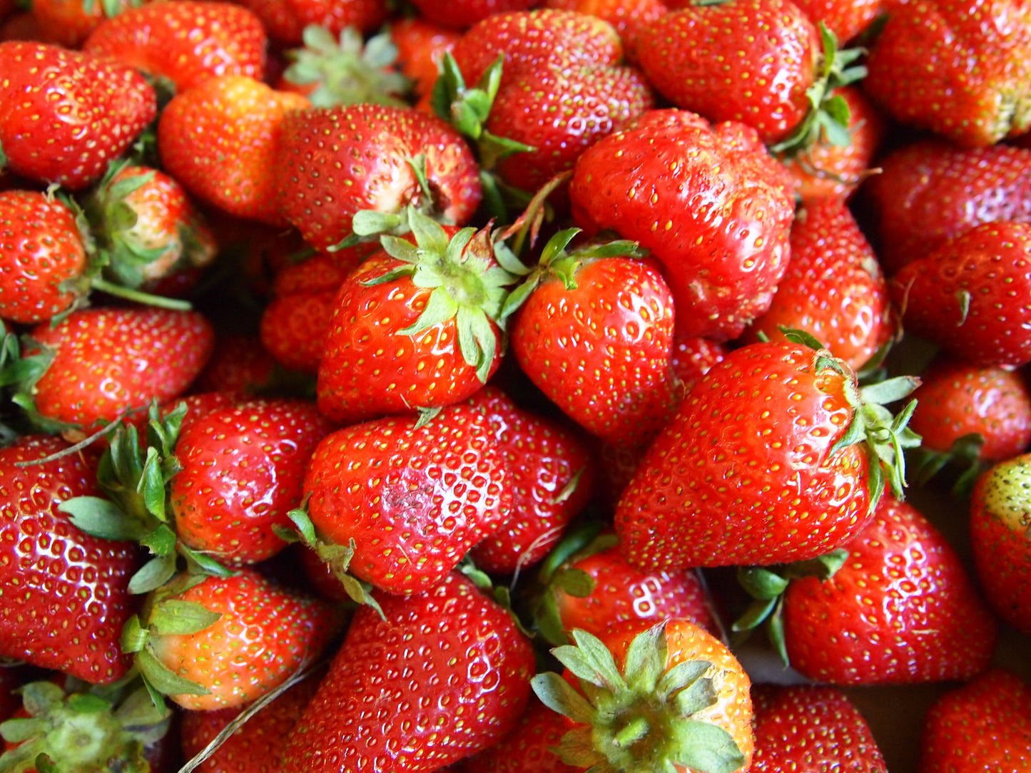 a mound of strawberries
