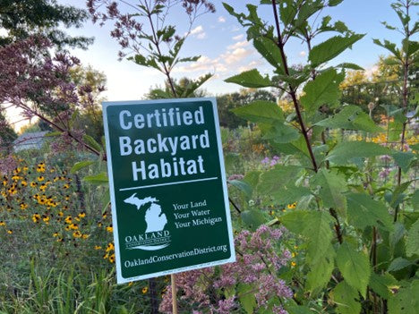 Spring Backyard Habitat Certification Program Registration