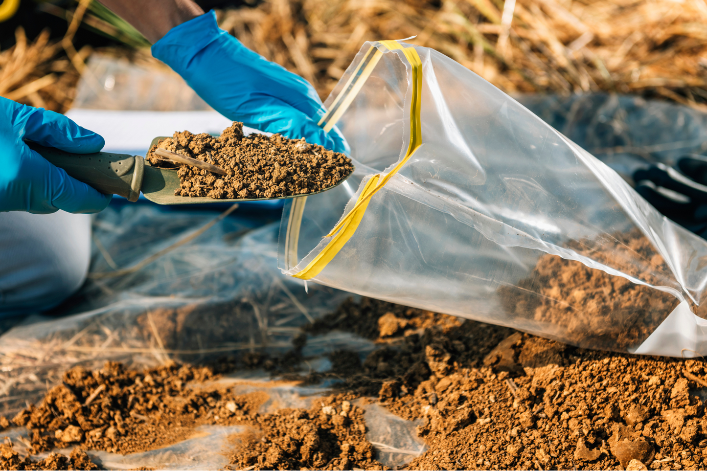 Routine Soil Test